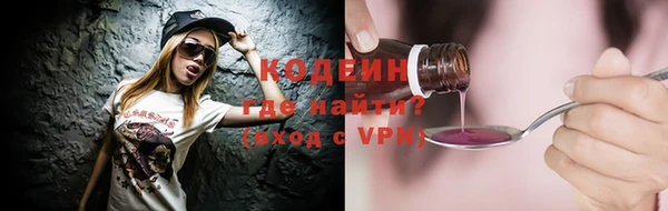 ECSTASY Богданович