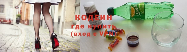 ECSTASY Богданович