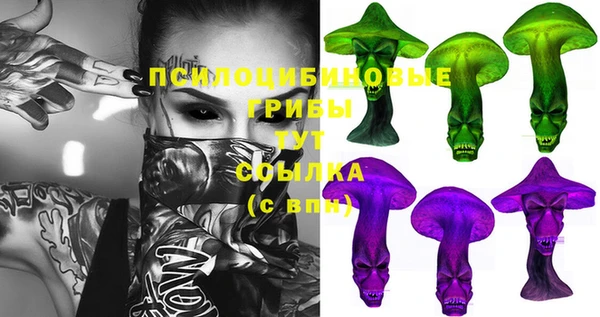 герыч Бугульма